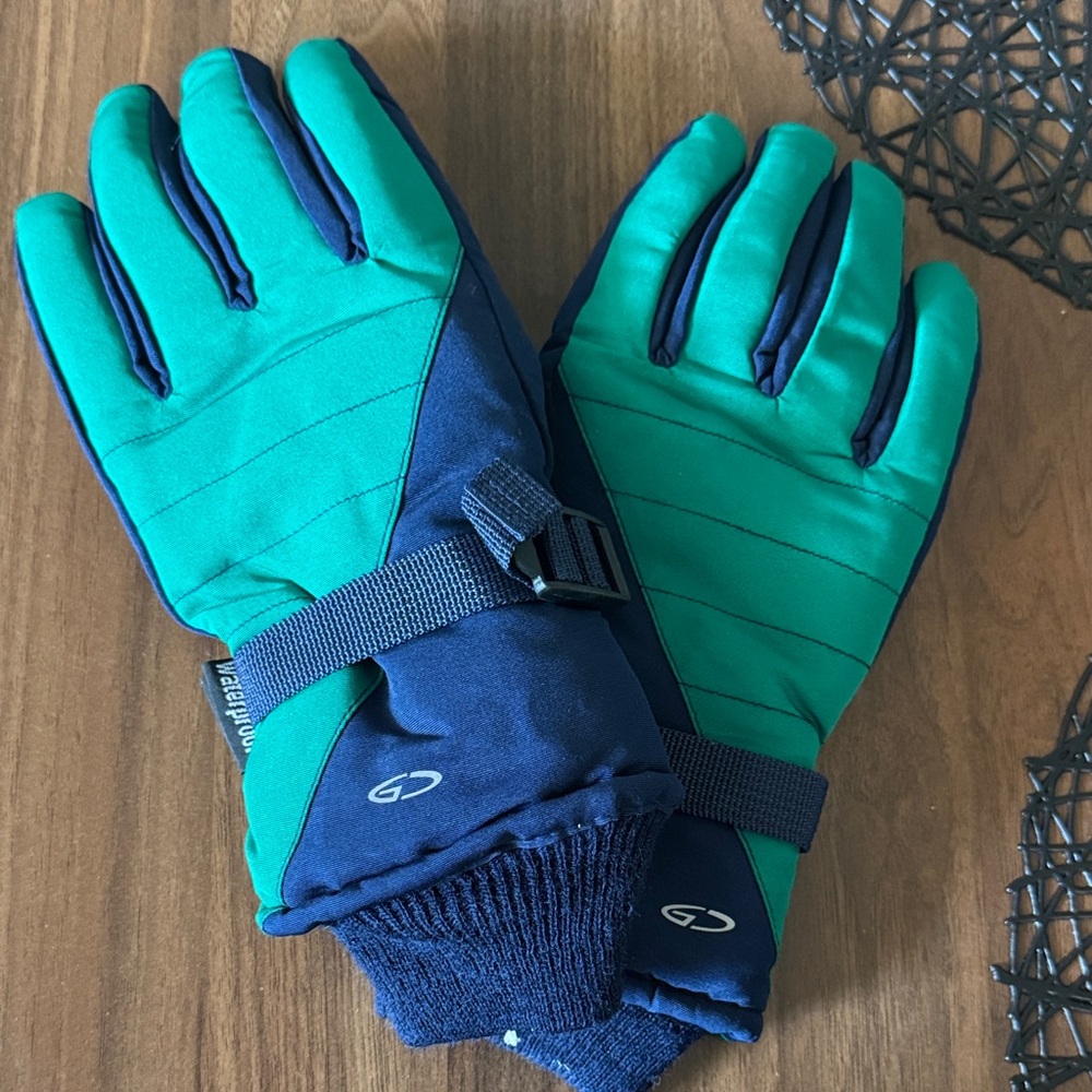 Green and Blue Champion waterproof Winter Gloves